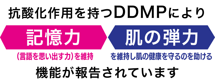 抗酸化作用を持つDDMPにより記憶力(言語を思い出す力)を維持、肌の弾力を維持し肌の健康を守るのを助ける機能が報告されています