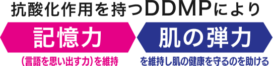 抗酸化作用を持つDDMPにより記憶力(言語を思い出す力)を維持、肌の弾力を維持し肌の健康を守るのを助ける